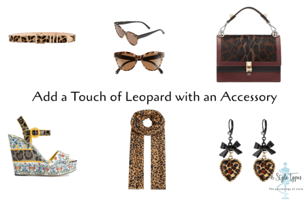 Leopard Print and the 16 Style Types - 16 Style Types